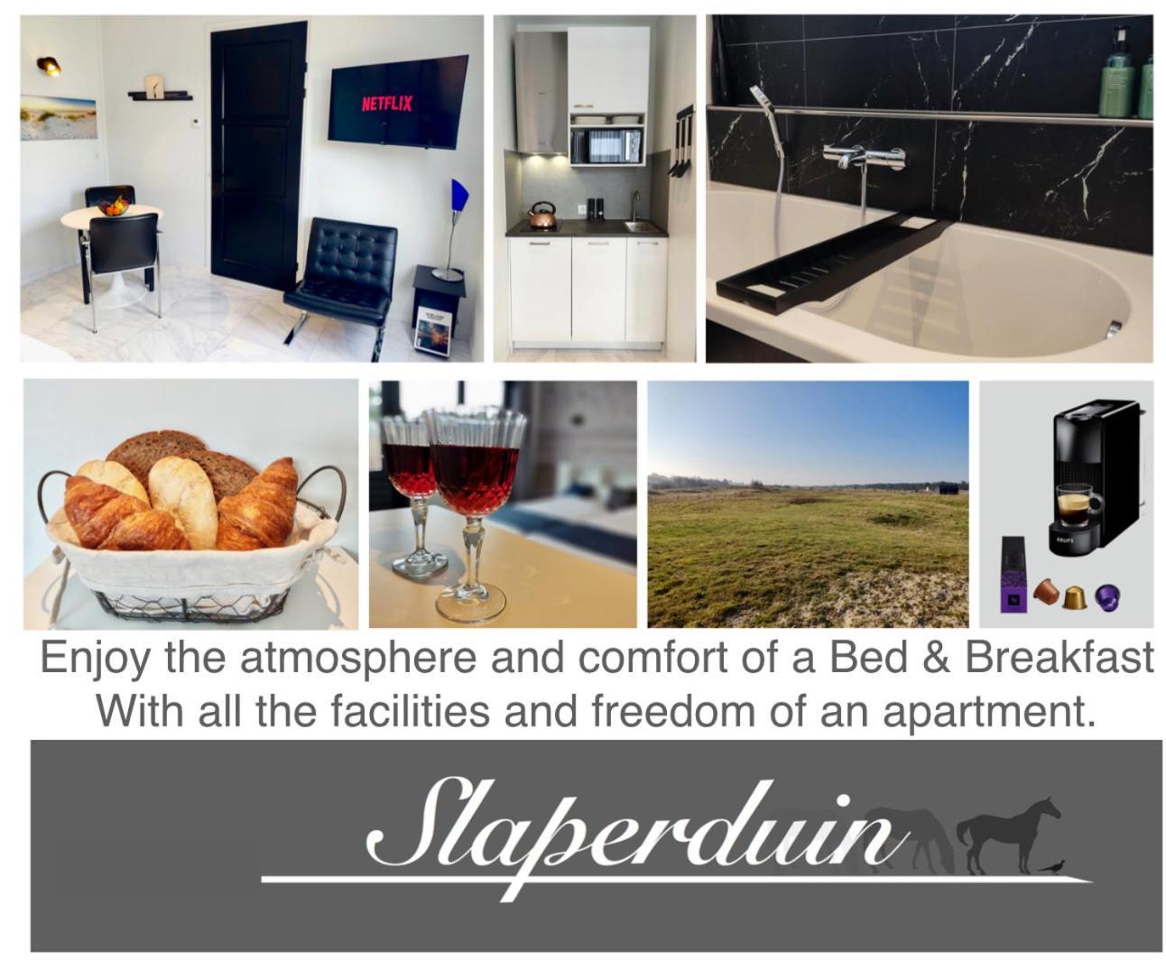 Bed & Breakfast Slaperduin ブーレン エクステリア 写真